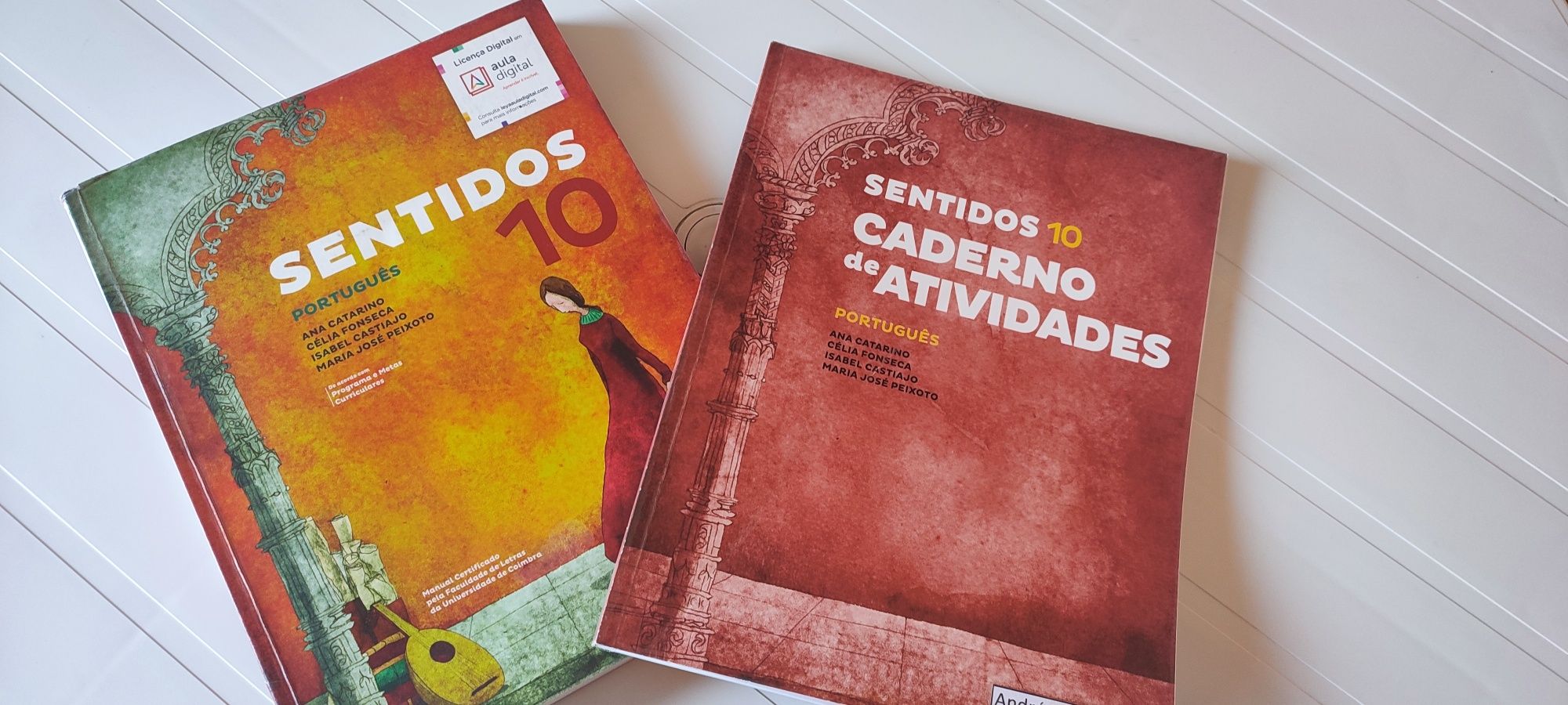 Manuais escolares 10, 11,12 anos. Área das ciências!