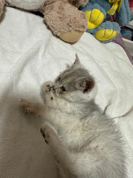 Хлопчик в хороші руки