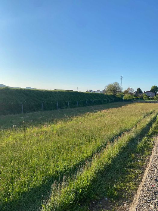Vende-se Terreno Agrícola com Poço e Motor