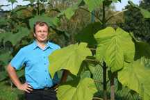 Paulownia Shang Tong, Drzewo szybko rosnące. PRODUCENT
