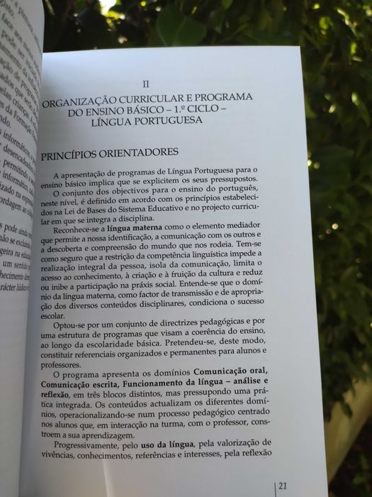 Evolução da comunicação linguística I