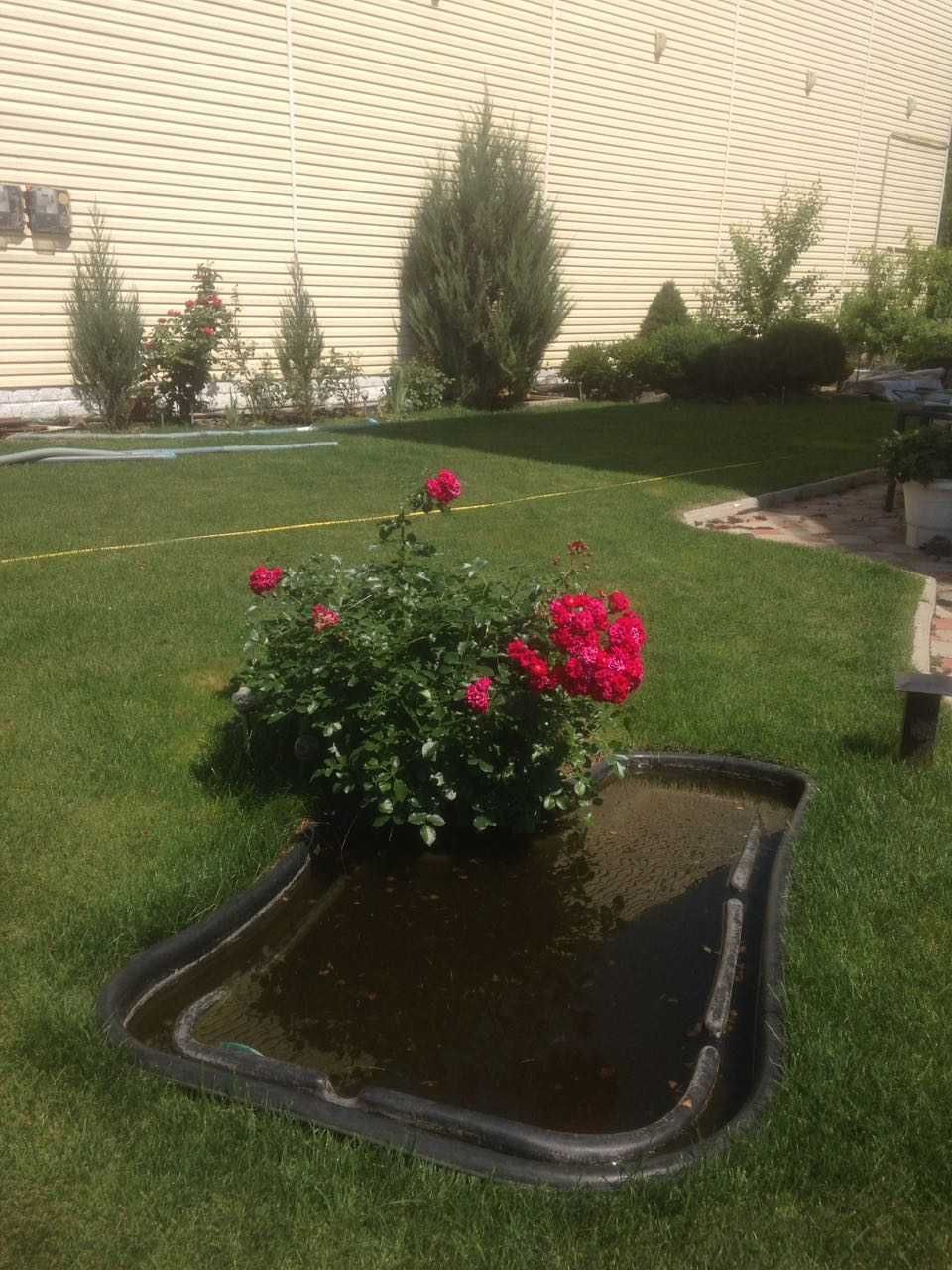Сдам этаж коттеджа( недалеко Аркадия,море-пляж Чайка