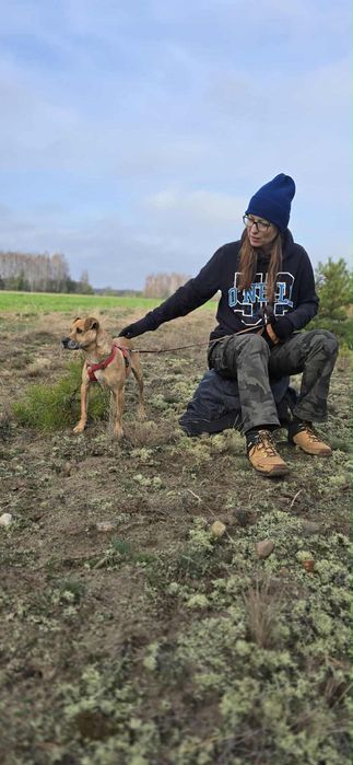 Malutki Kuśko ,szuka domu.