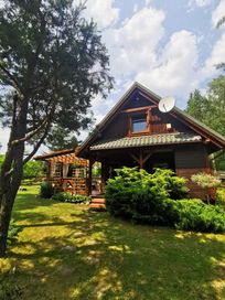 Domek Bory Tucholskie nad jeziorem, w lesie, dom