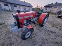 Massey Ferguson 255  rok.1987