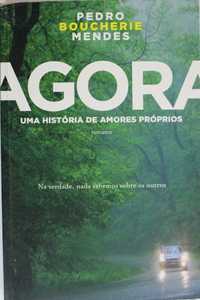 Livro Agora Uma História de Amores Próprios