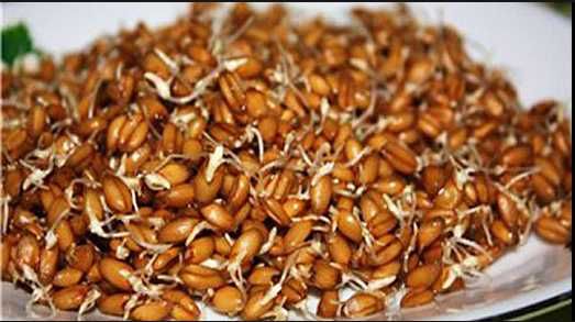 Борошно цільнозернове пшеничне житнє кукурудзяне льняне конопляне інше