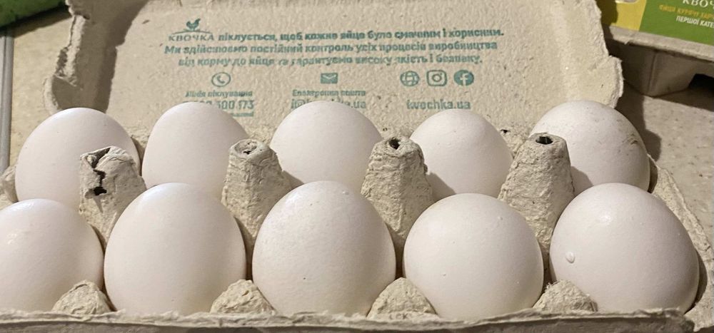 Домашні курячі яйця