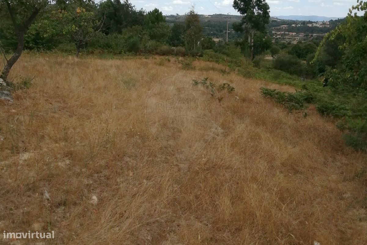 Terreno  para venda