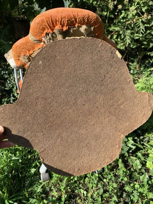 Стул с подемным механизмом