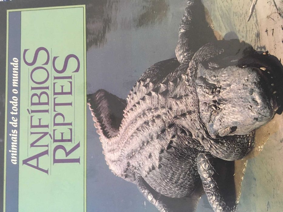 total 12 livros animais de todo o mundo edição 1990 Circ.Leitores