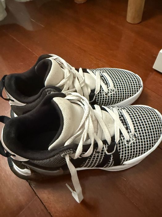 Nike Lebron Witness 7 EP