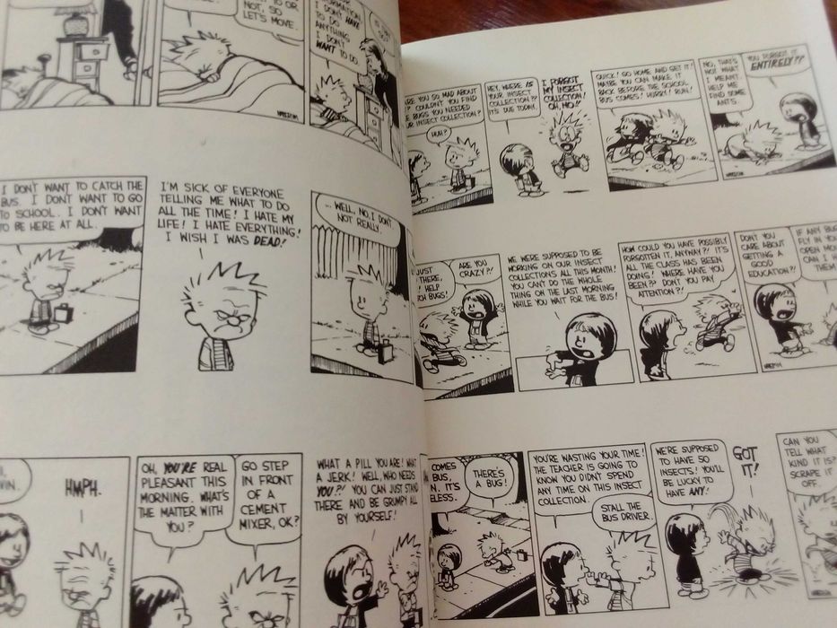 Bill Watterson - The indispensable Calvin and Hobbes