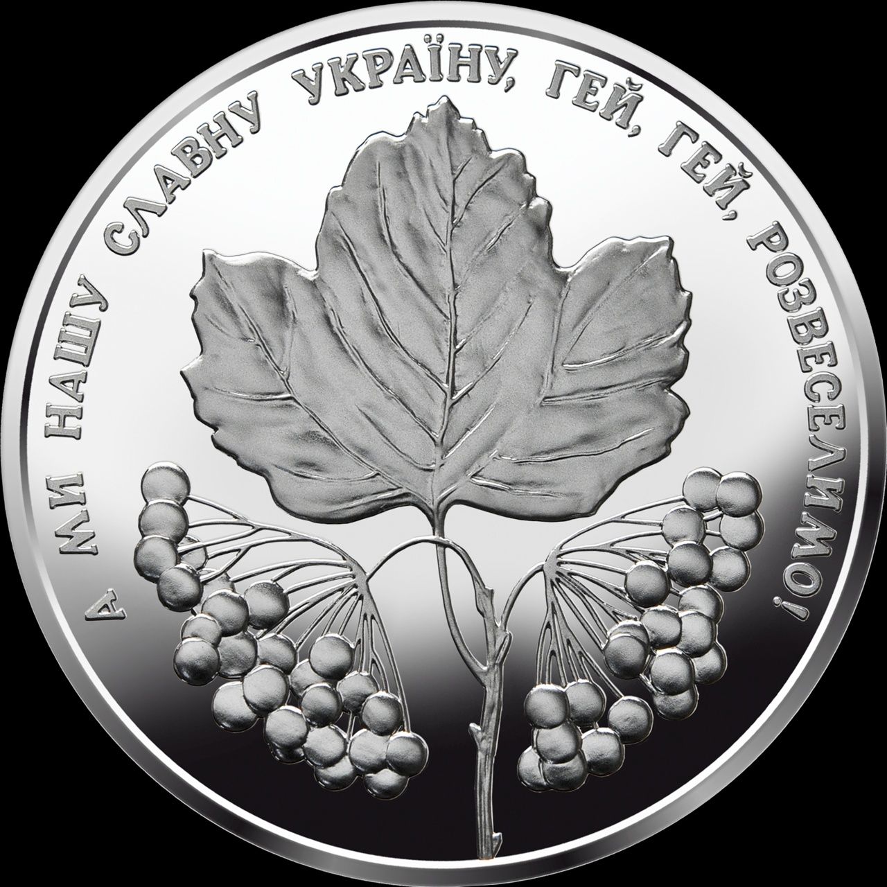 Пам'ятна монета "Ой у лузі червона калина" номіналом 5 гривень