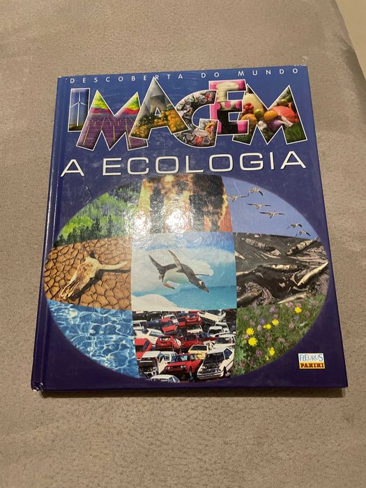 Livros infantis com imagens