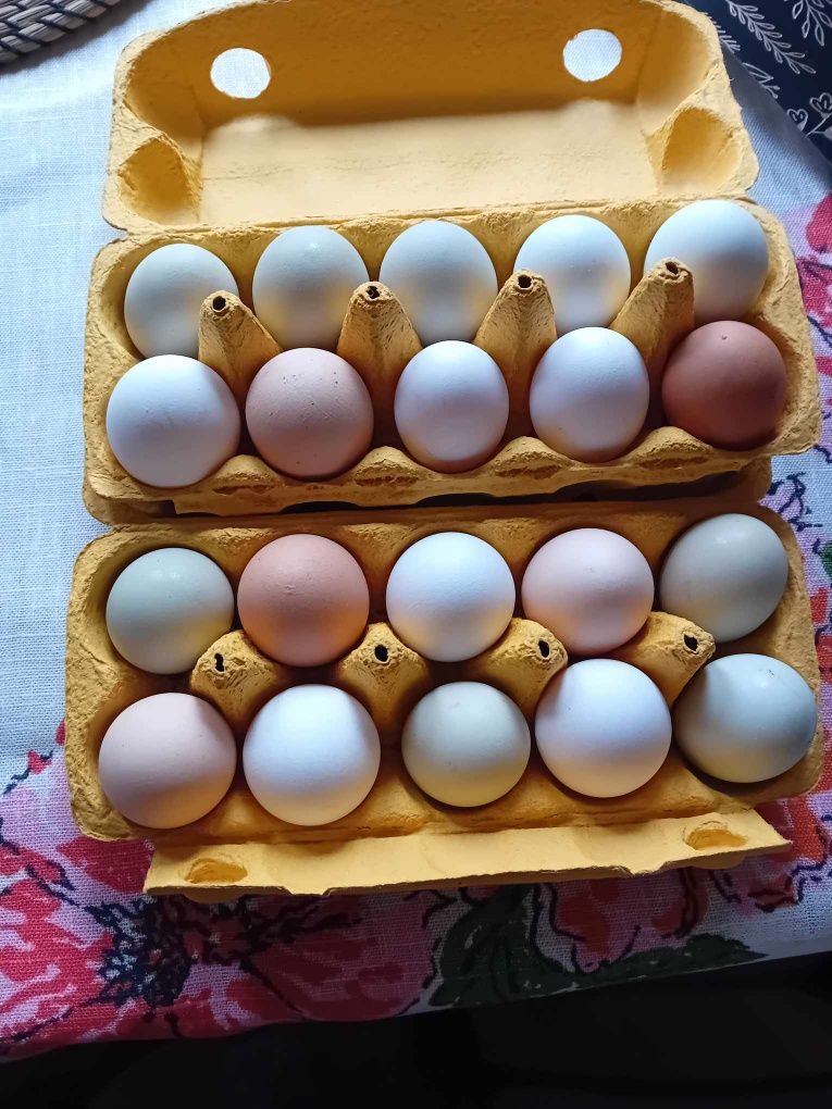 Prawdziwe jaja wiejskie