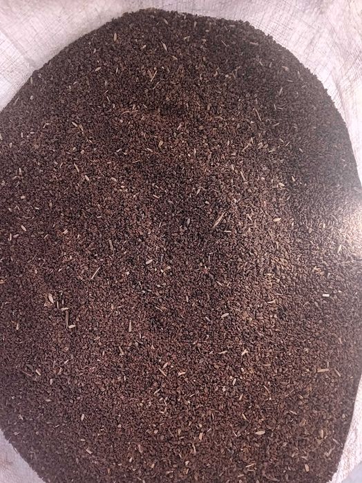 Facelia błękitna 1kg-10zł