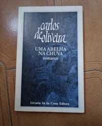 Livro Uma Abelha na chuva