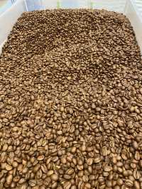 Кава (суміш 100% Арабіка) 300грн за 1кг