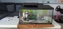 Akwarium 60L Aquael kompletne + bakterie + testy wody jbl