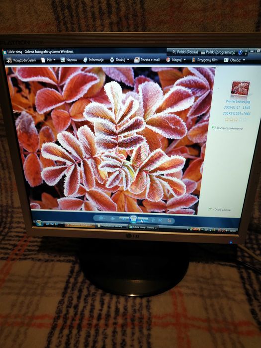 Monitor LG Flatron 15`