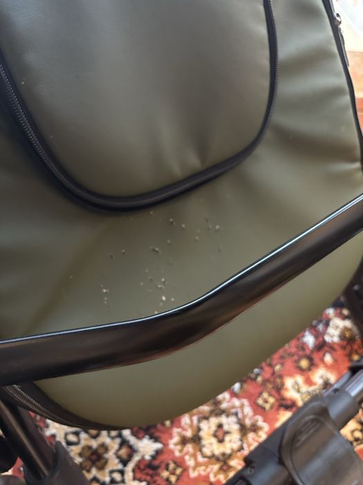 Коляска Mirello Richmond 2в1