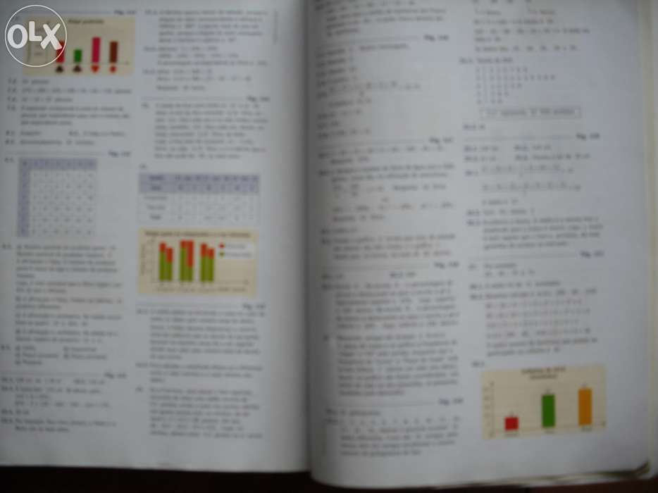 Preparação Exame Matemática 6ºano livro exercícios Prova Final