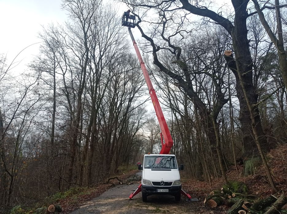 Usługi podnośnikami koszowymi 22 metry