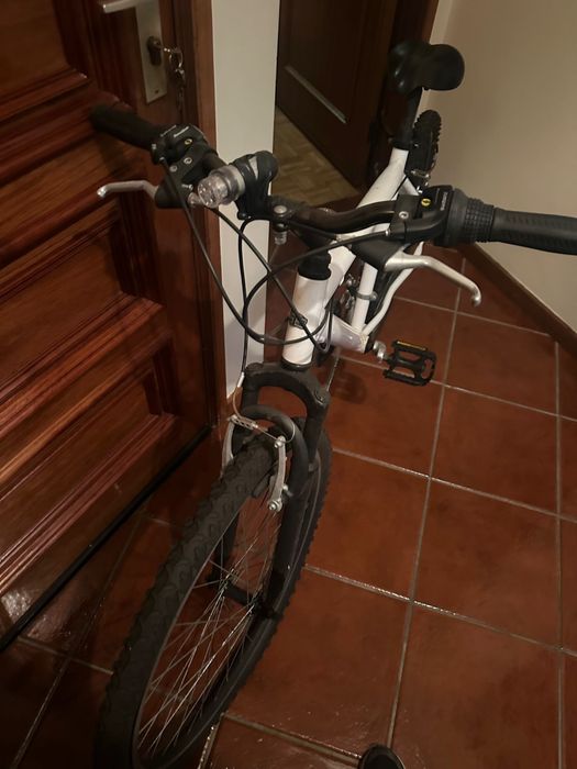 Bicicleta adulto