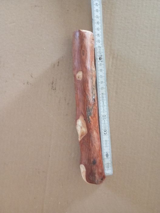 Dla Psów Patyk GryzK