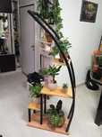 Suporte de plants