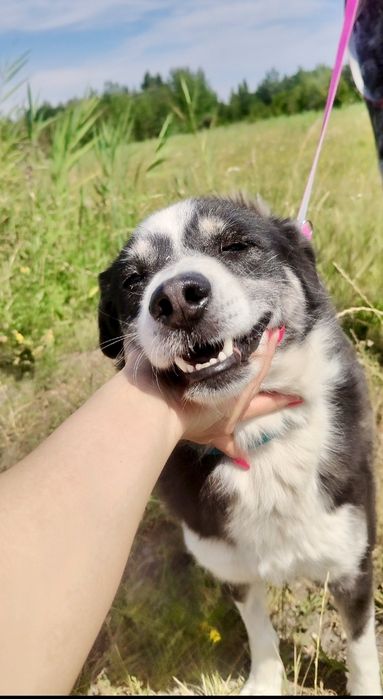 Proszę daj mi szansę i zabierz mnie do domu ...