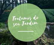 Jardineiro / Manutenção de Jardins
