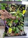 Terrarium 40x40x60 gekon