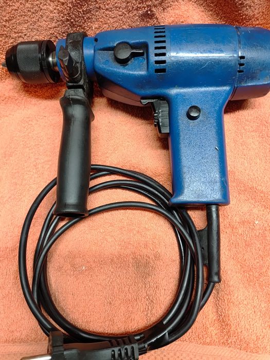 Wiertarka celma niebieska