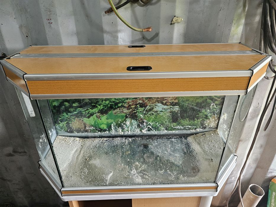 Aquario com móvel