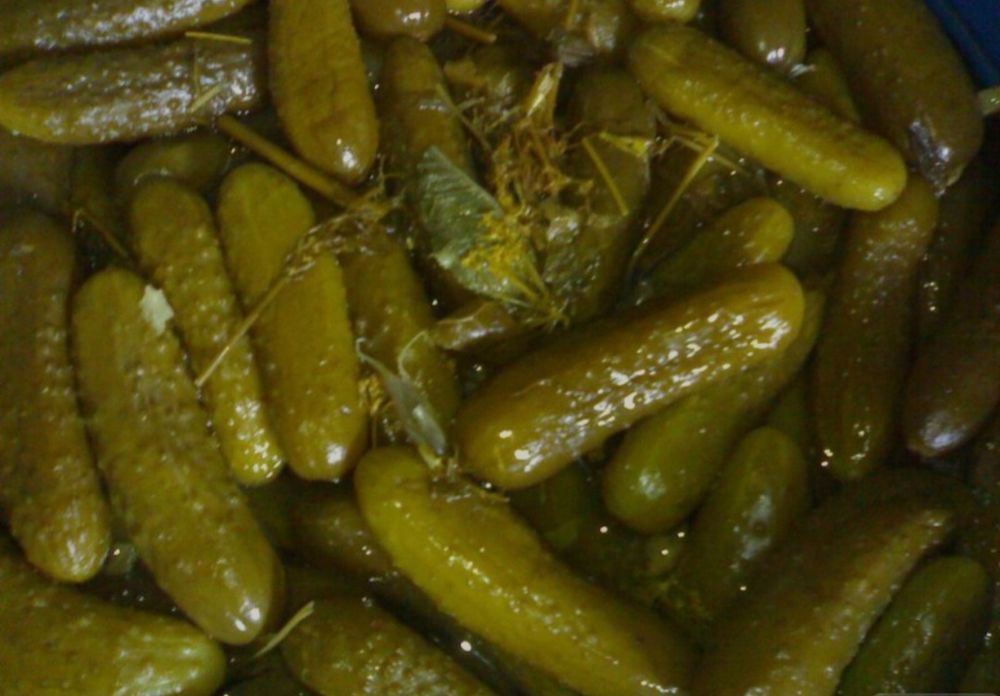 Продам солёный огурец