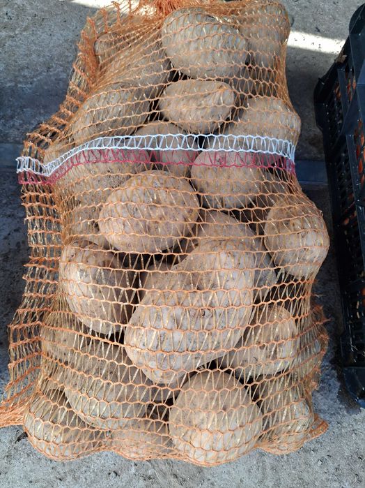 Ziemniak Denar, Cebula, Marchew