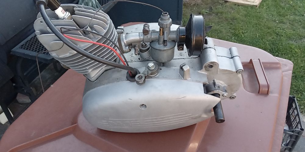 Sprzedam silnik do Rys