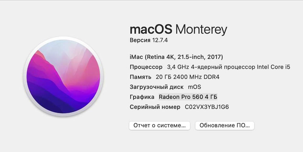 iMac 21,5" Retina 4K (2017) • i5 • 20 GB RAM • SSD 256 GB