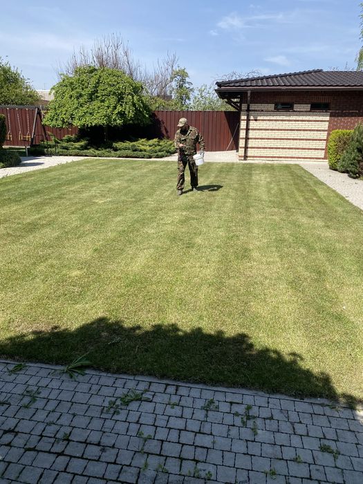 Скарифікація, аерація газону, догляд за газоном