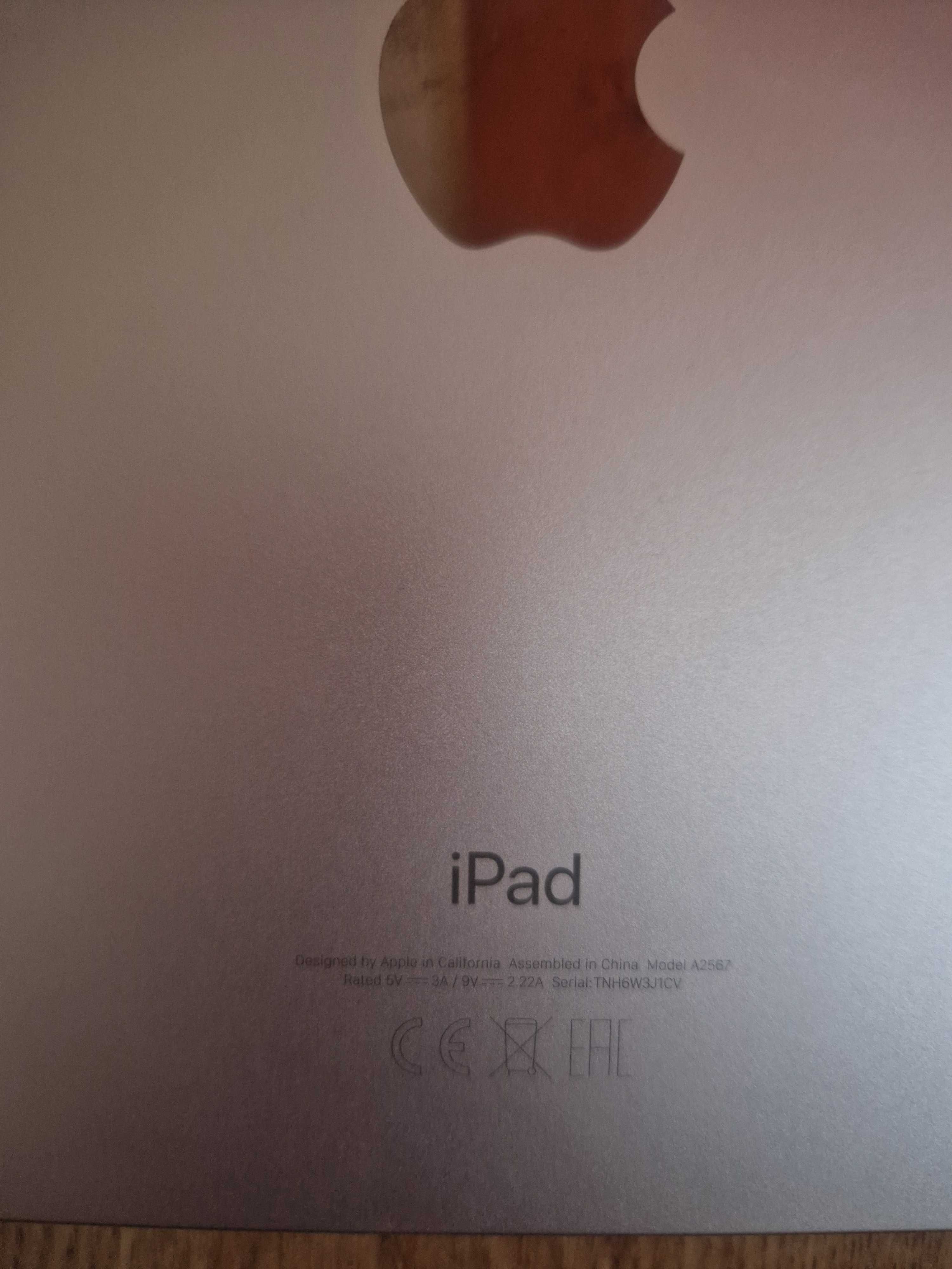 iPad mini 6th generation 256GB