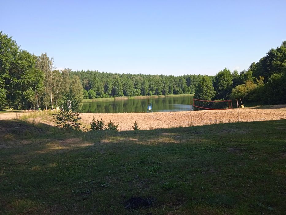 Wyjątkowa Leśna Polana, Jezioro, Rzeka, 12 KM od Torunia, 8000 M2,