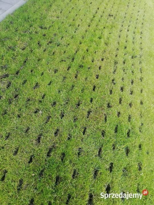Aerator rurkowy wynajem, posypywarka do piasku / usługi
