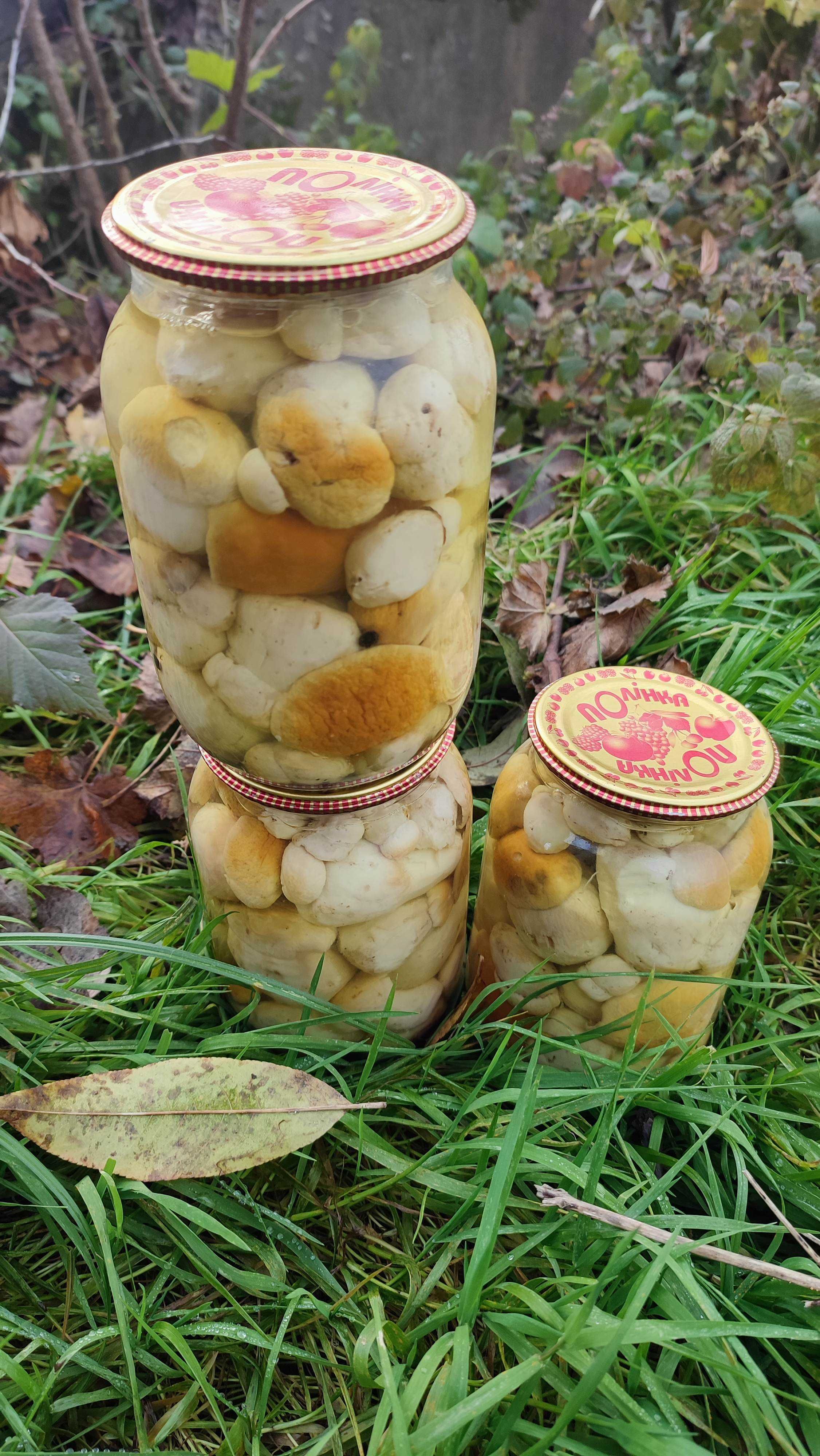 Запашні і ароматні сушені закарпатські білі гриби і лисички