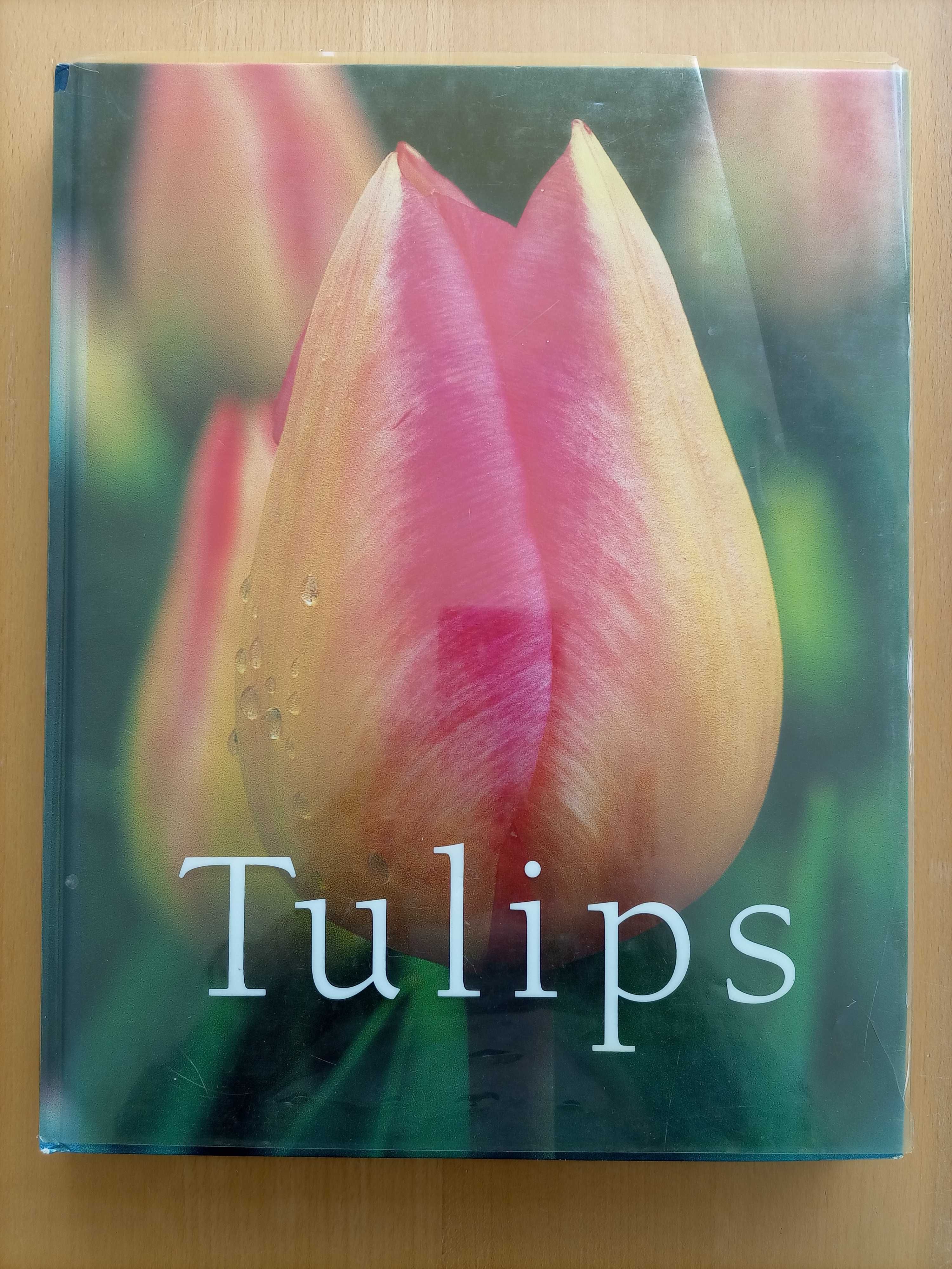 Livro "TULIPS" Coleção de fotos de Tulipas com citações em Inglês