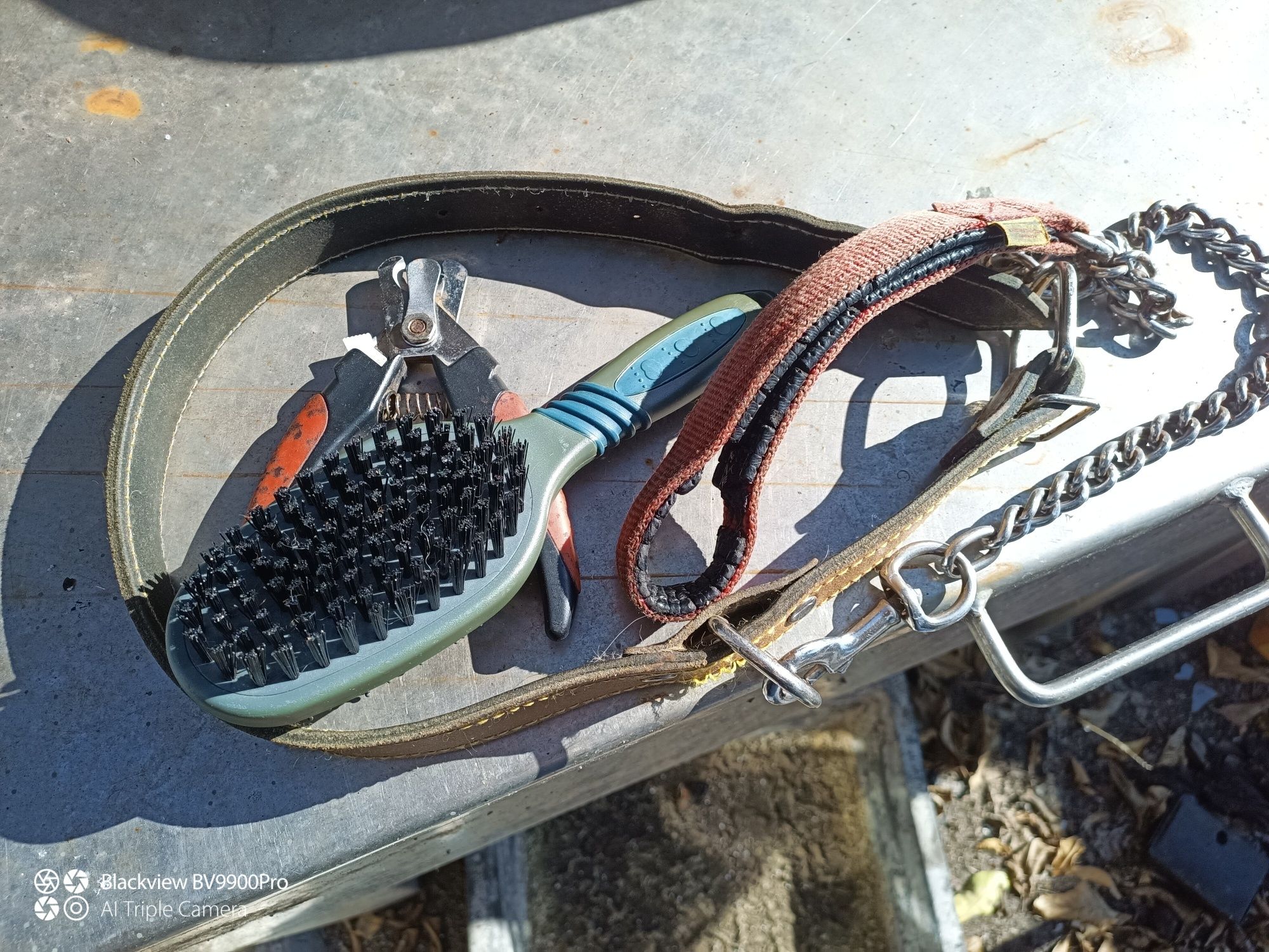 5 utensílios para cão de grande porte