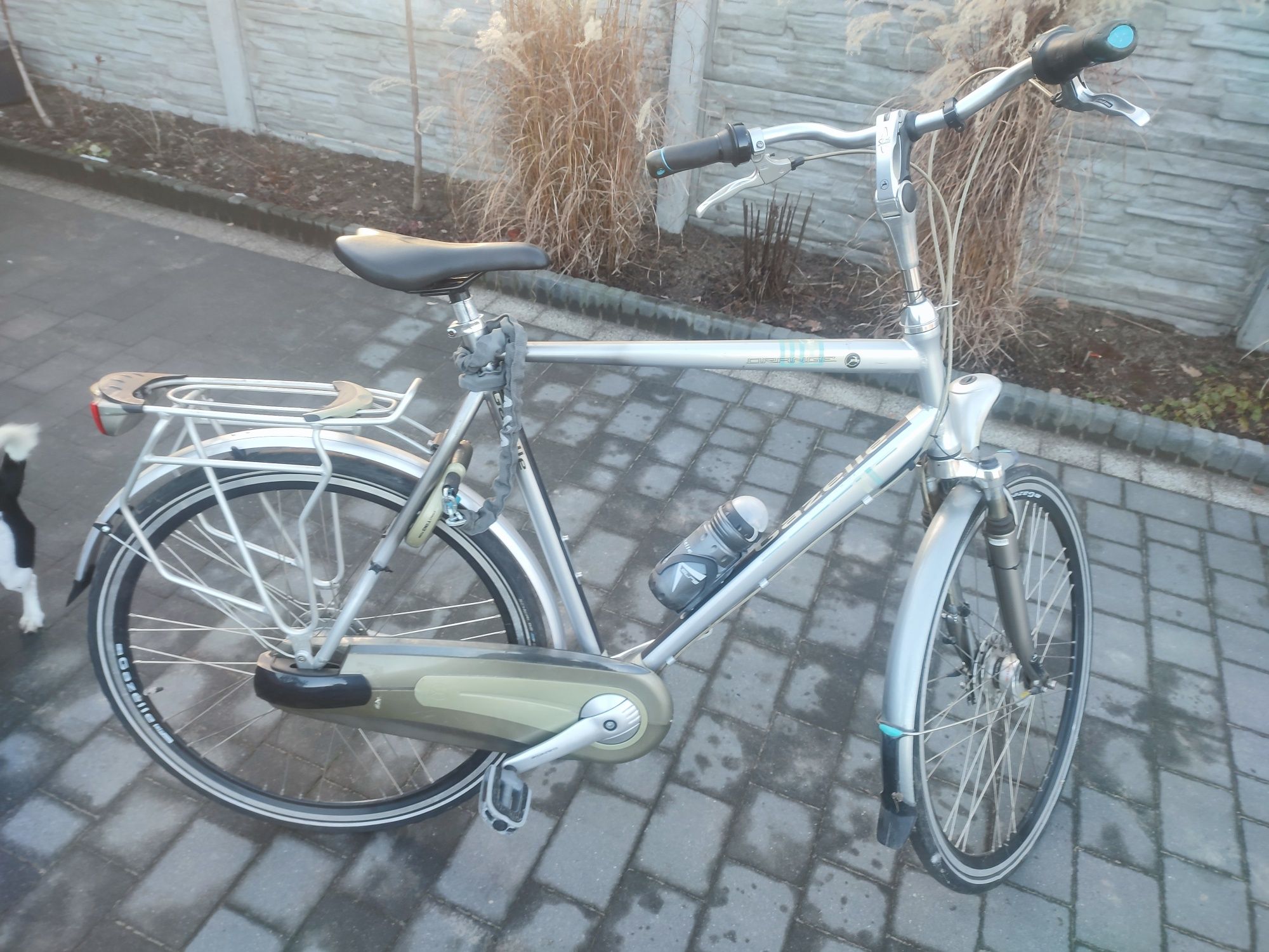 Rower Gazelle Orange