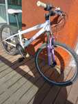 Bicicleta Berg Charm 243