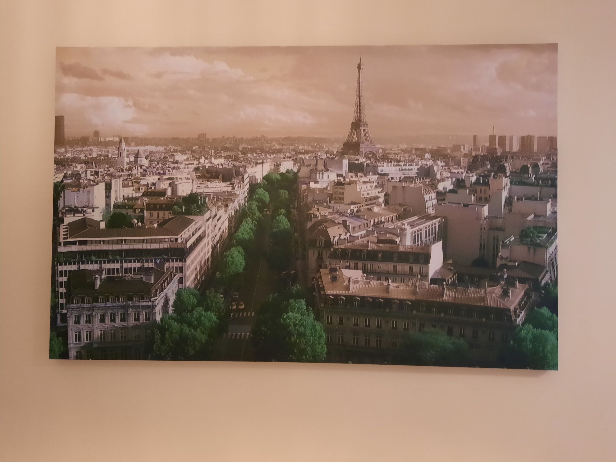 Obraz zdjęcie na płótnie 88x139 cm Paryż